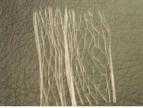 网状纤维